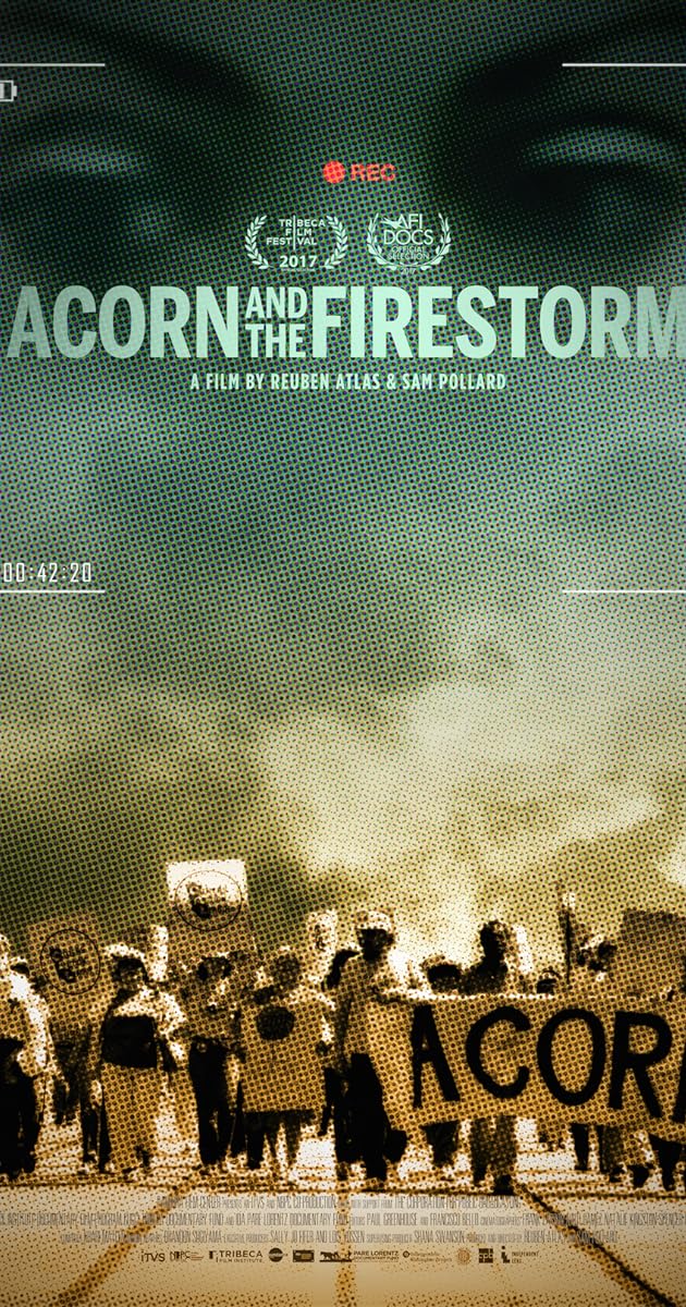 Acorn and the Firestorm