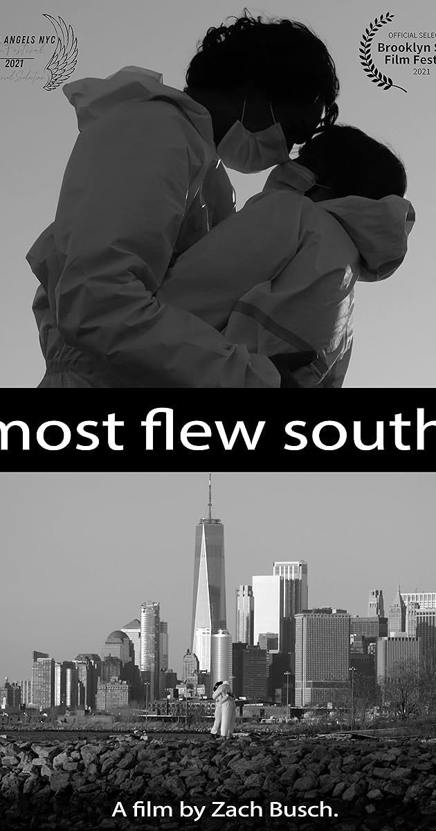 Most Flew South