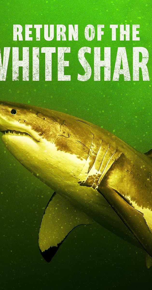 Return of the White Shark