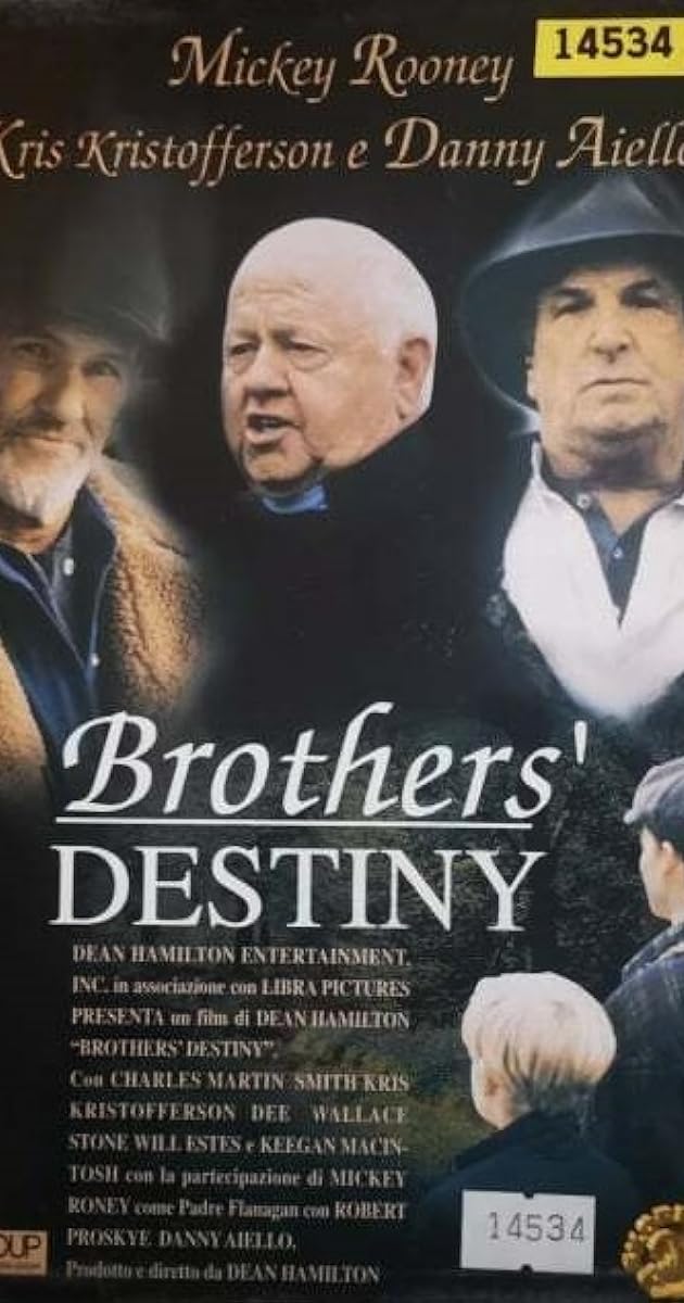 Brothers' Destiny