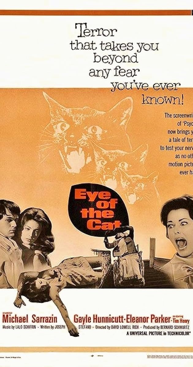 Eye of the Cat