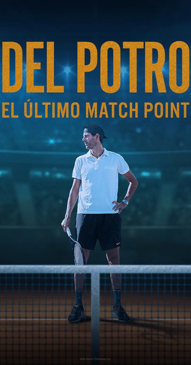 Del Potro, el último match point