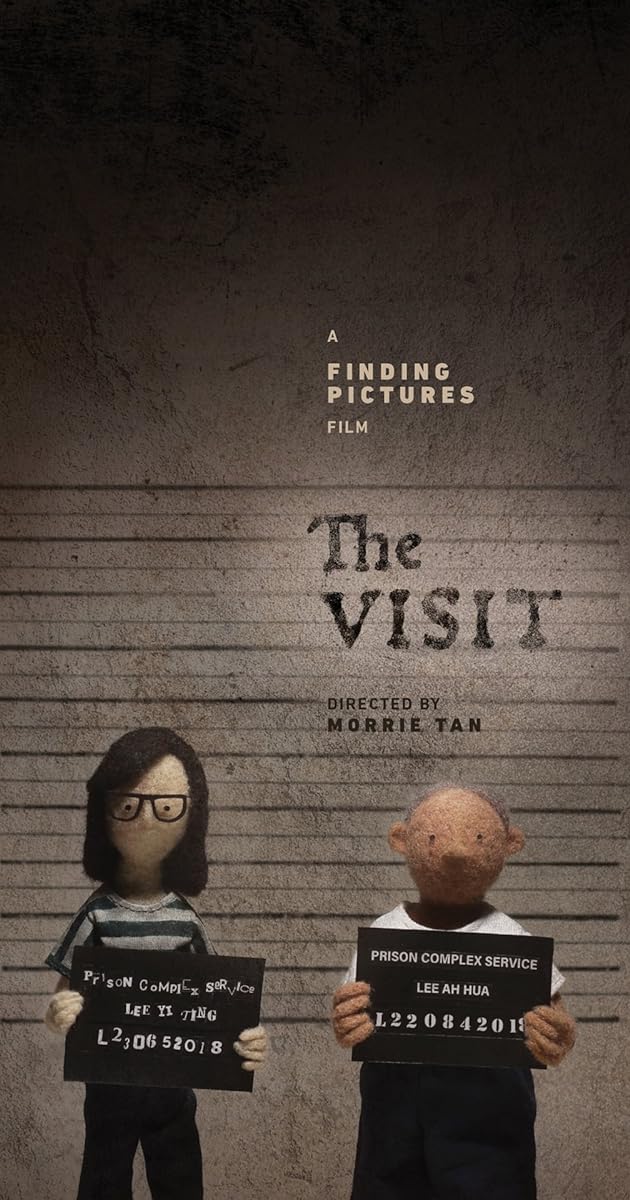 The Visit