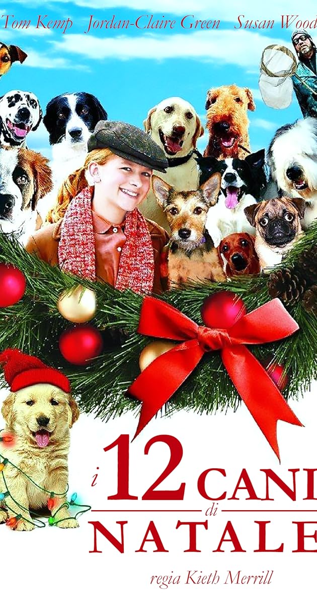 12 Noel Köpeği