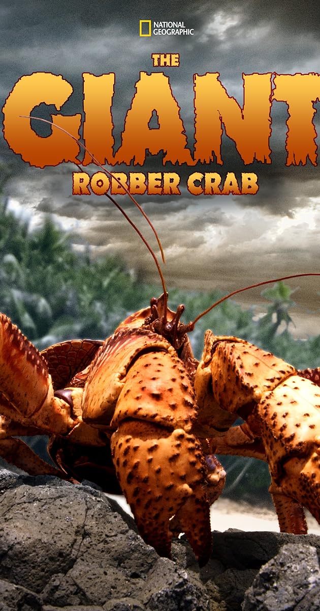 The Giant Robber Crab