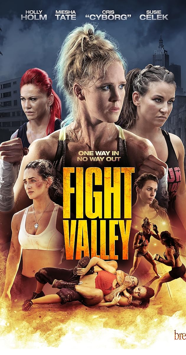 Fight Valley