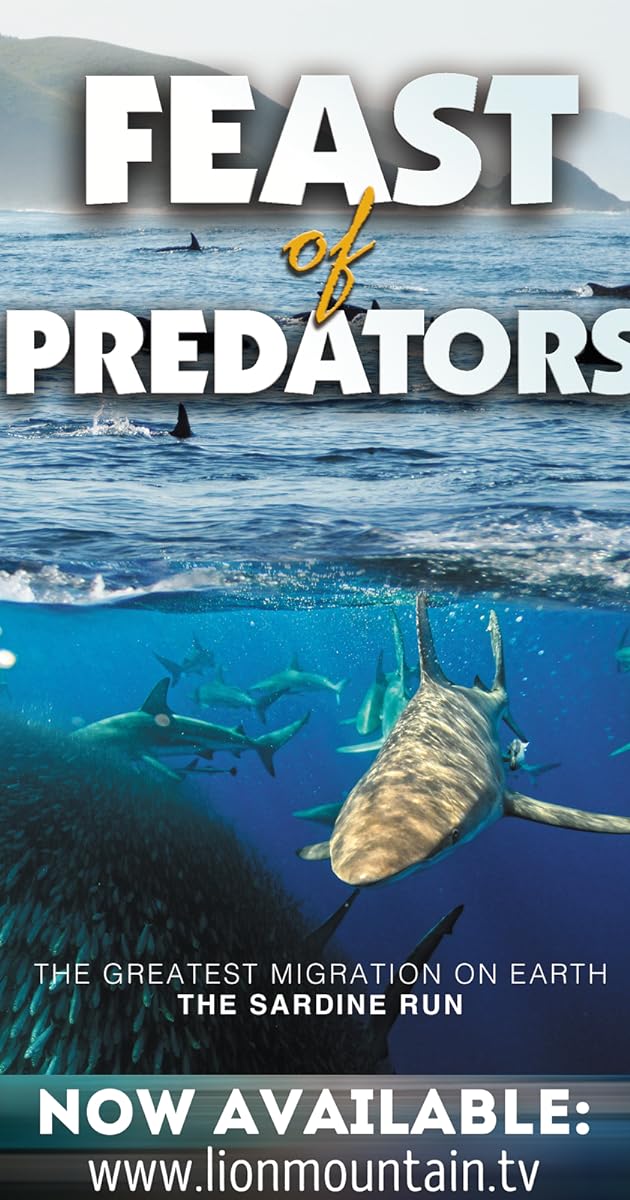 Feast of Predators