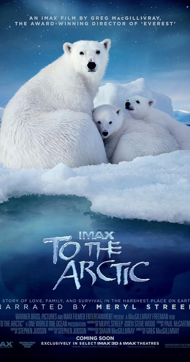 To the Arctic 3D