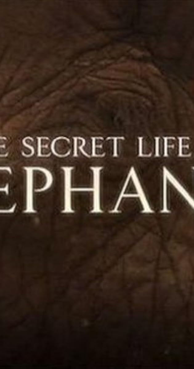 The Secret Life of Elephants