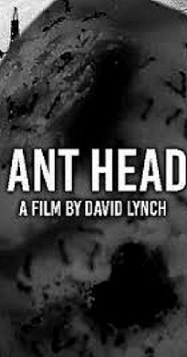 Ant Head