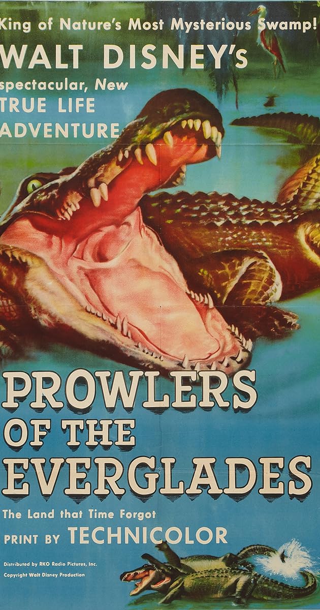 Prowlers of the Everglades