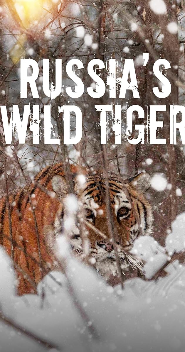 Russia's Wild Tiger