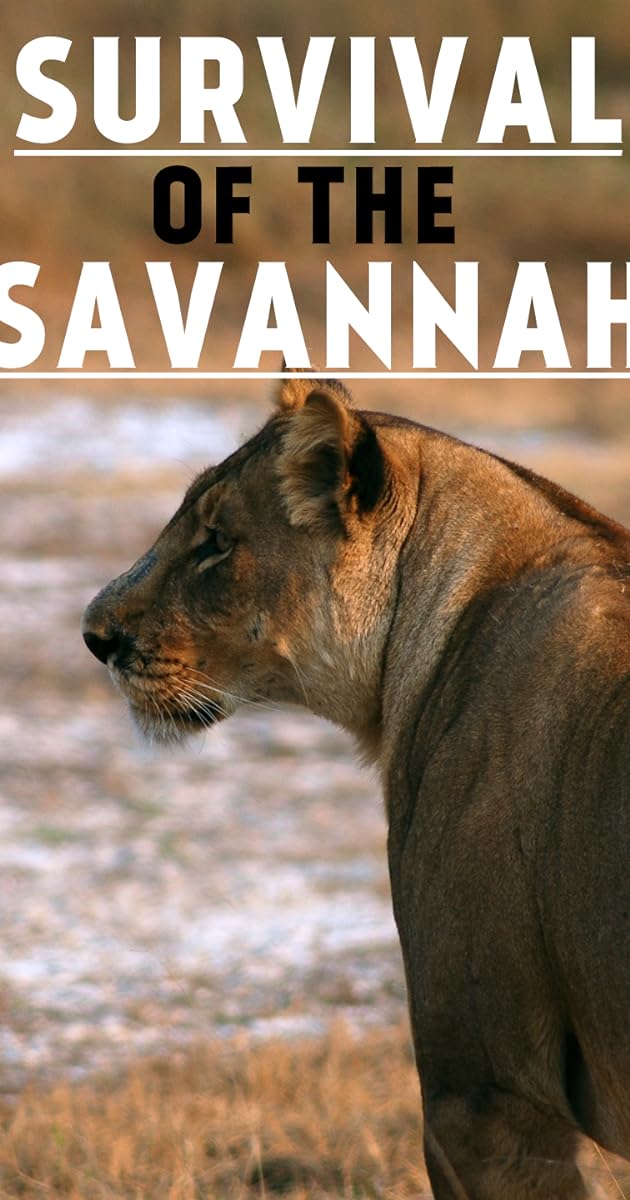 Survival on the Savannah