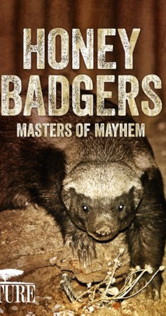 Honey Badgers: Masters of Mayhem