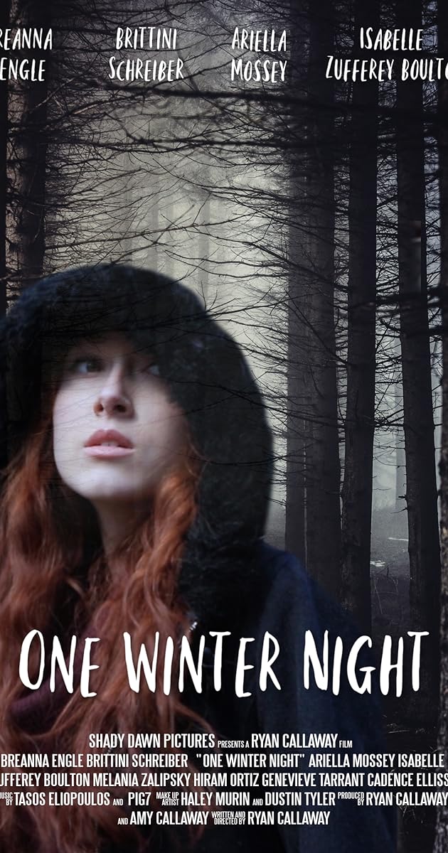 One Winter Night