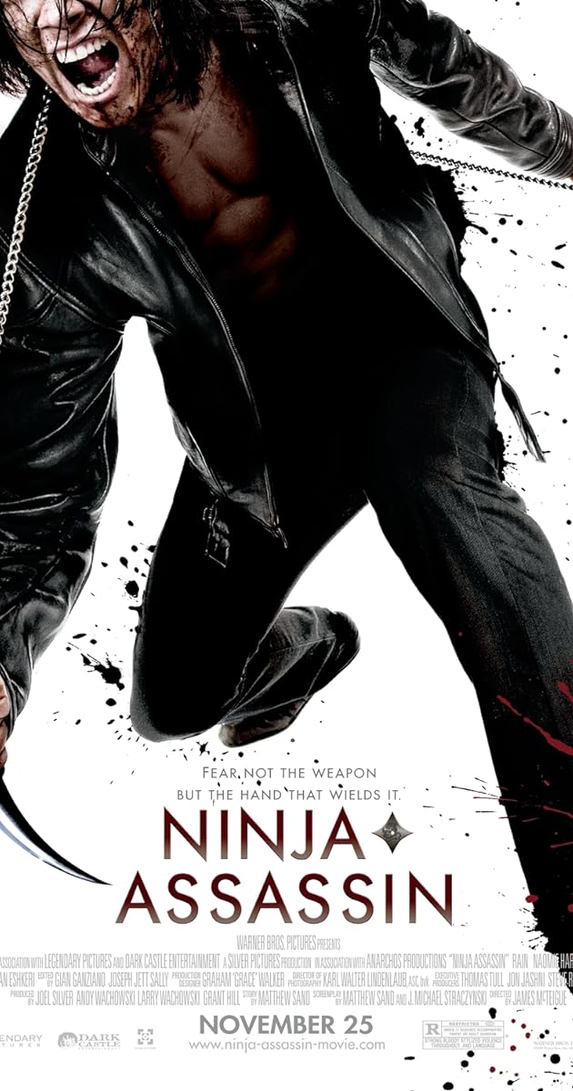 Ninja'nın İntikamı
