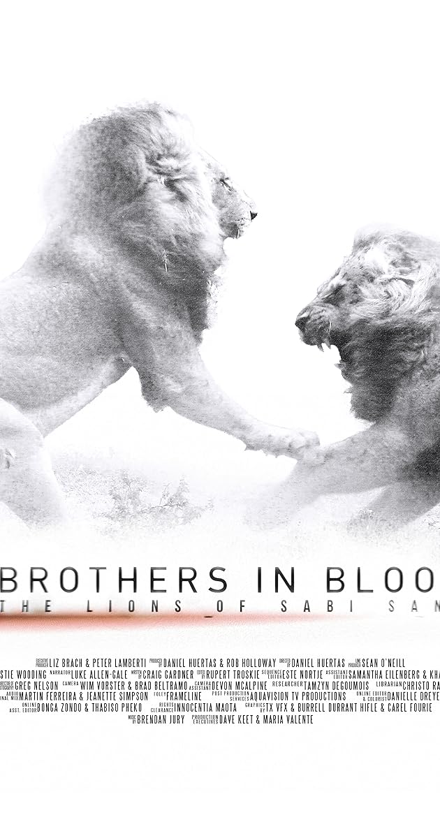 Brothers in Blood: The Lions of Sabi Sand