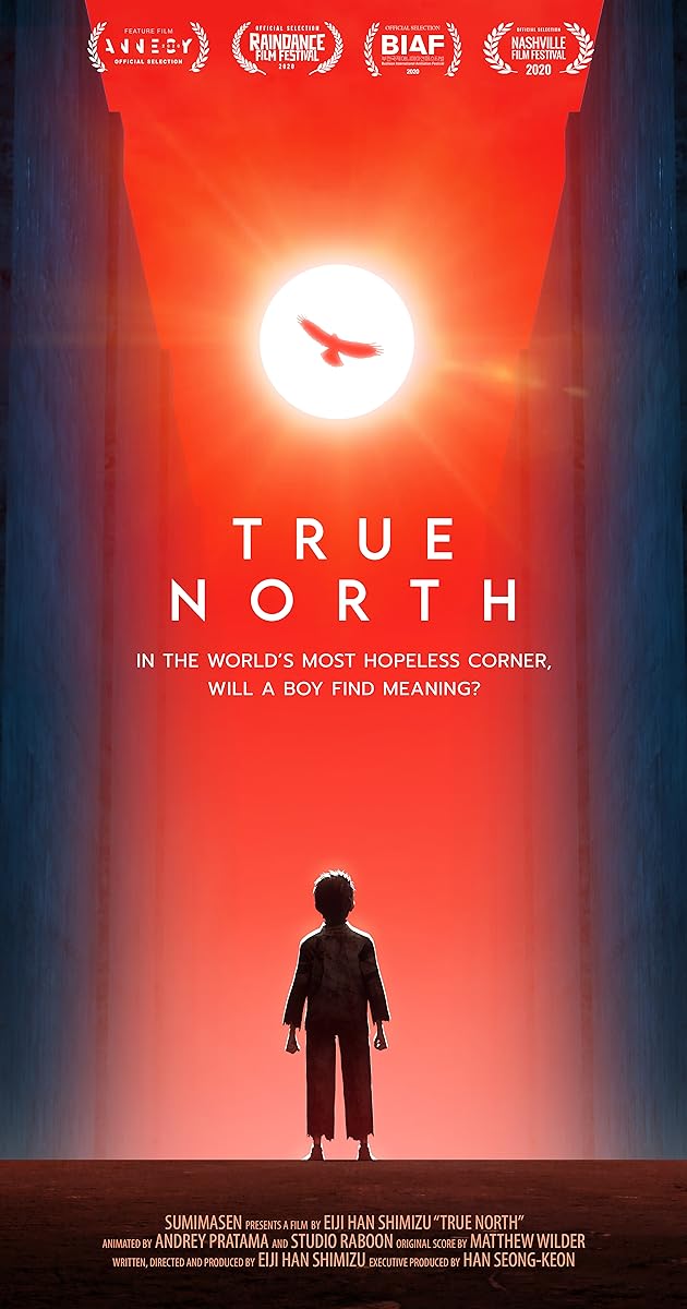 True North