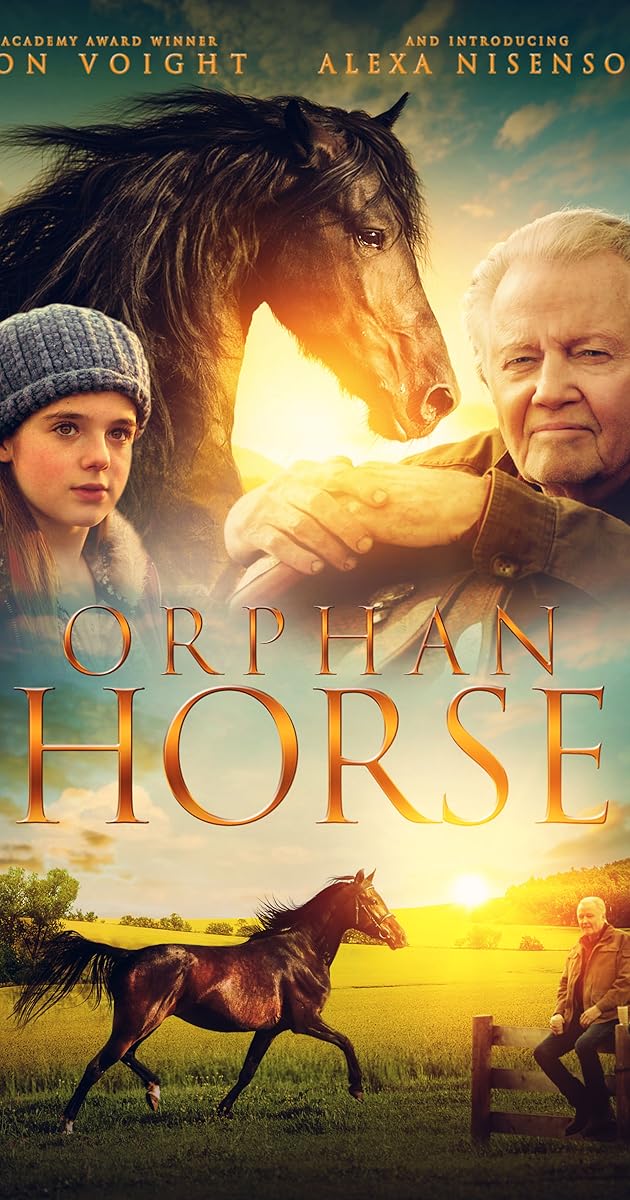 Orphan Horse