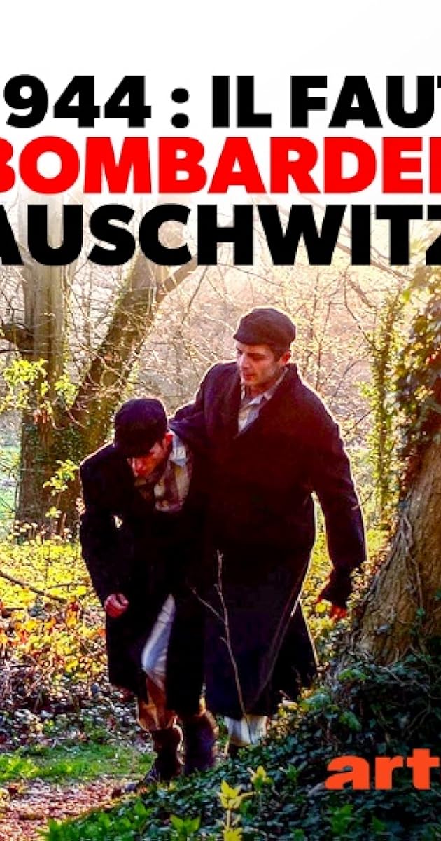 Bombe su Auschwitz?